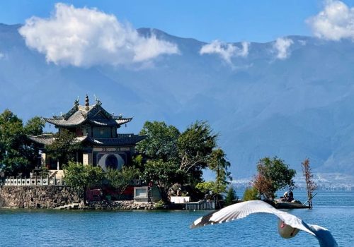 久游国旅真实客案丨马来西亚7人6天昆大丽：人均2500，追着我们给好评