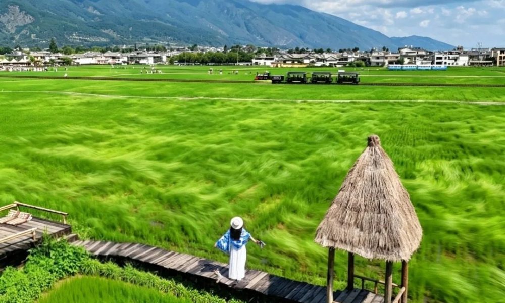 久游国旅真实客案丨长沙一家老小6人飞云南避暑11天，这样客人才踏实