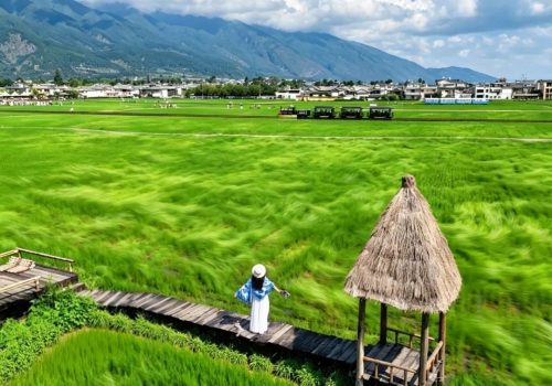 久游国旅真实客案丨长沙一家老小6人飞云南避暑11天，这样客人才踏实