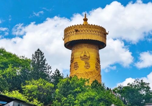 久游国旅真实客案丨江苏7位长辈来云南10天定制游好玩不累